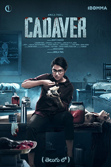 Cadaver | iBOMMA