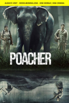 Poacher | iBOMMA